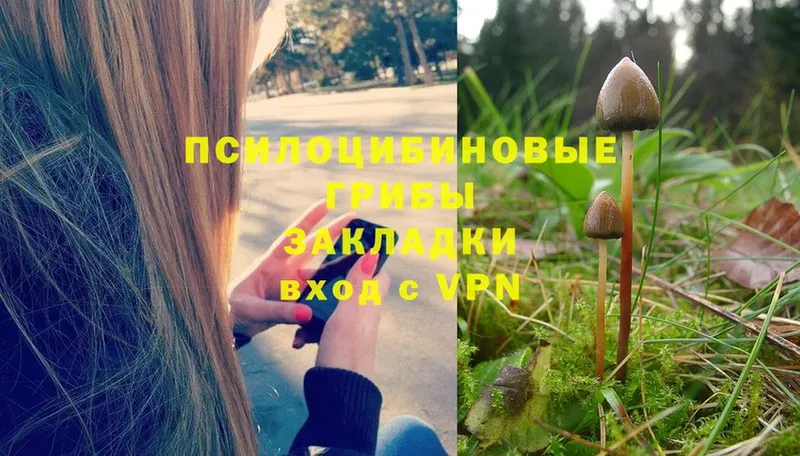 ОМГ ОМГ вход  где продают наркотики  Тарко-Сале  Псилоцибиновые грибы Magic Shrooms 